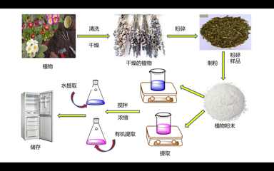 蘊藏自然的奧秘 工業(yè)植物提取物作為緩蝕劑的研究與應(yīng)用