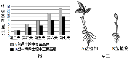 工業(yè)植物提取瑰寶 海藻酸鈉的特性與應(yīng)用