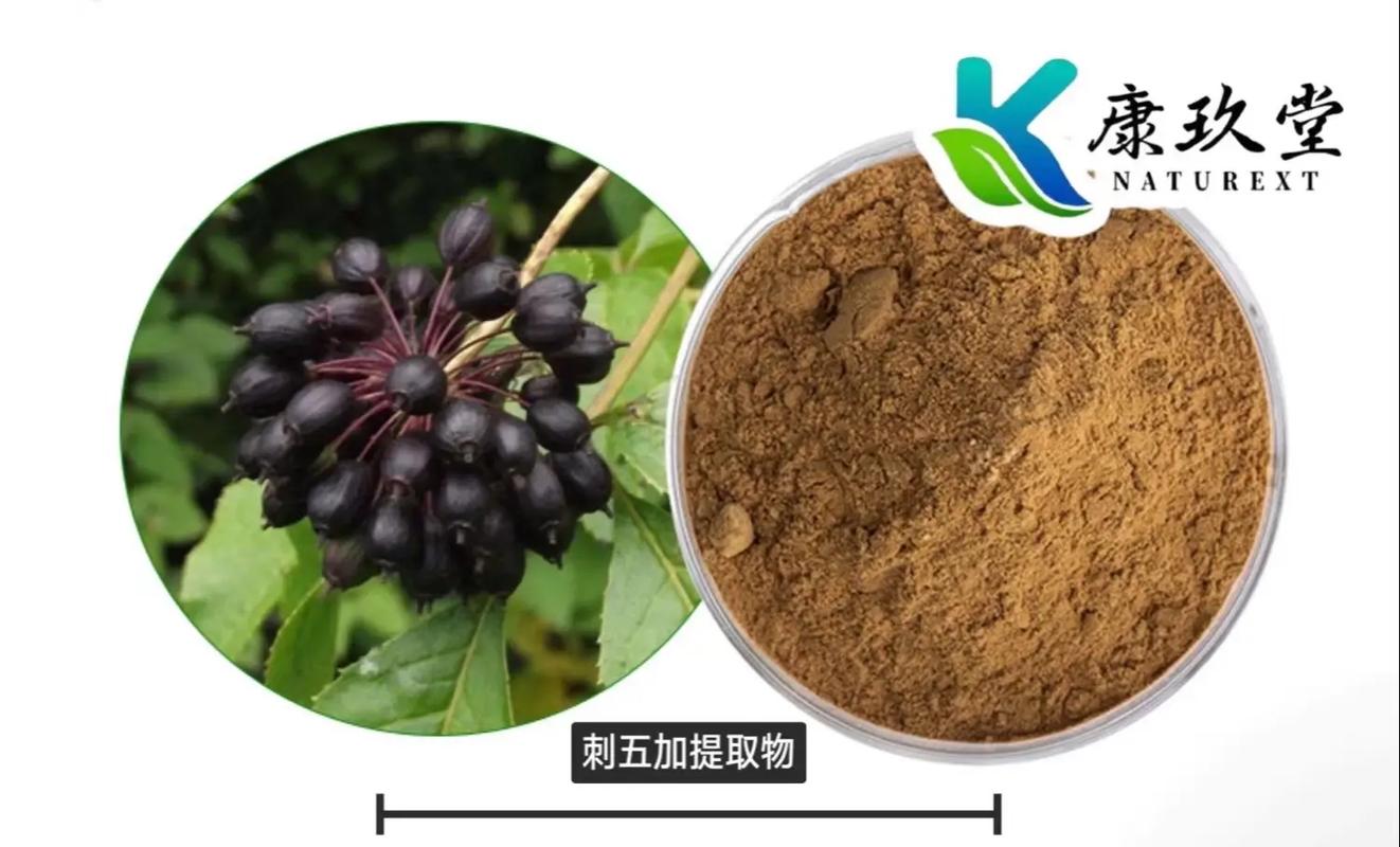 工業(yè)植物提取 賦能綠色發(fā)展的現(xiàn)代產(chǎn)業(yè)引擎